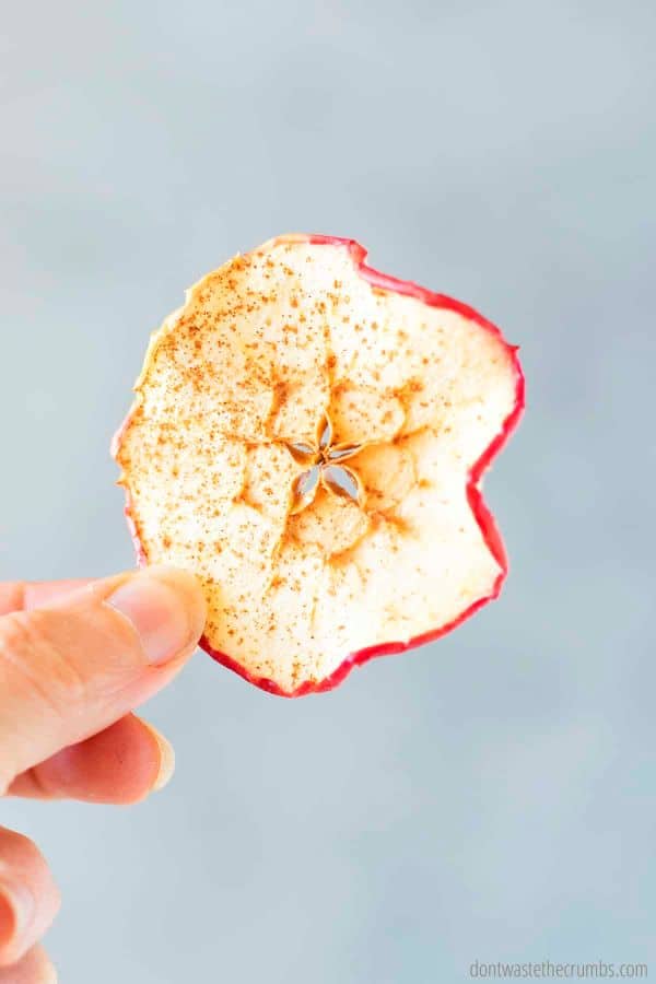 A single apple chip held up by two fingers with a blue background