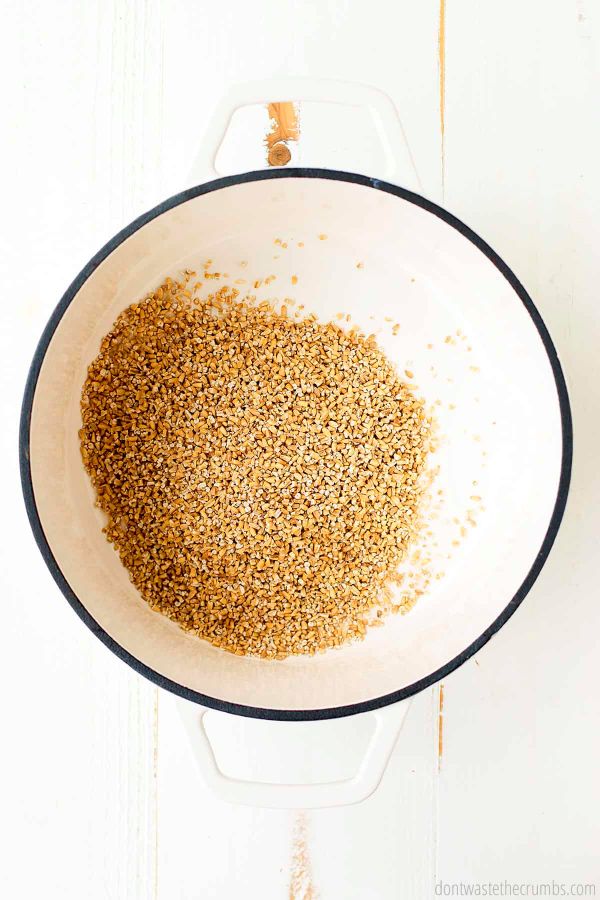 Steel cut oats lay at the bottom of a dutch oven.